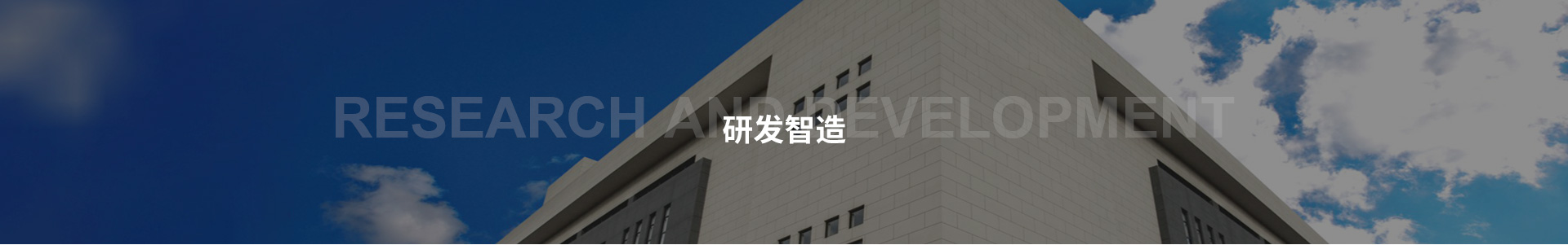技術(shù)實力